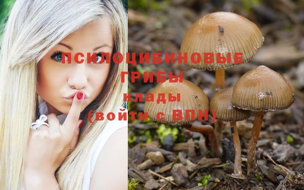 каннабис Ростов