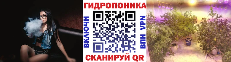 Купить где  Сарапул  Бошки Шишки VHQ 